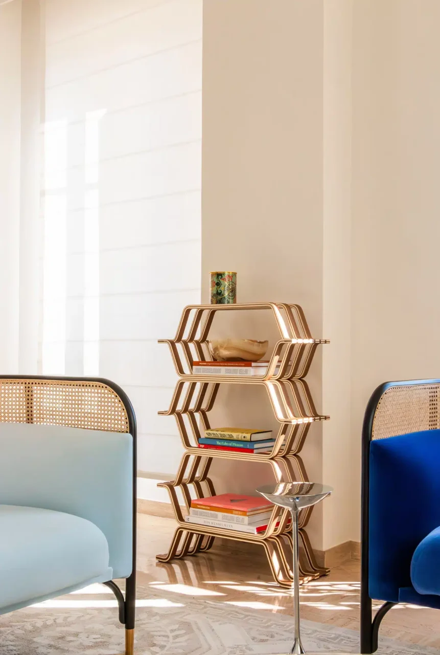 projet decoration intérieur monaco étagères